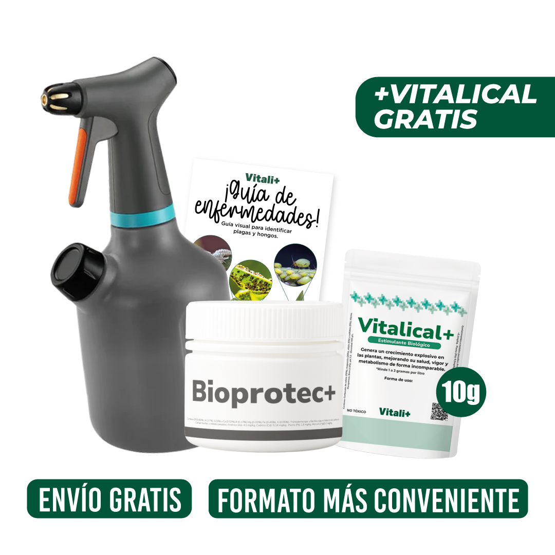 Kit Protección