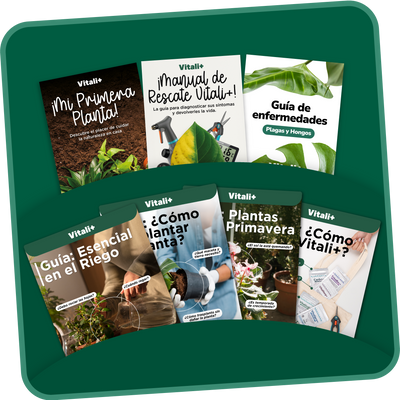 Curso: Manual de Supervivencia