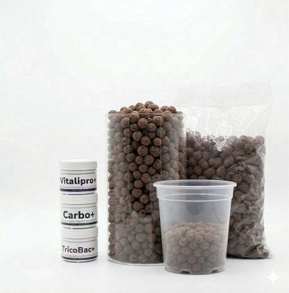 Kit Mini Invernadero