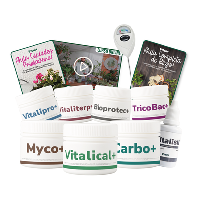 MEGA Pack Vitali+