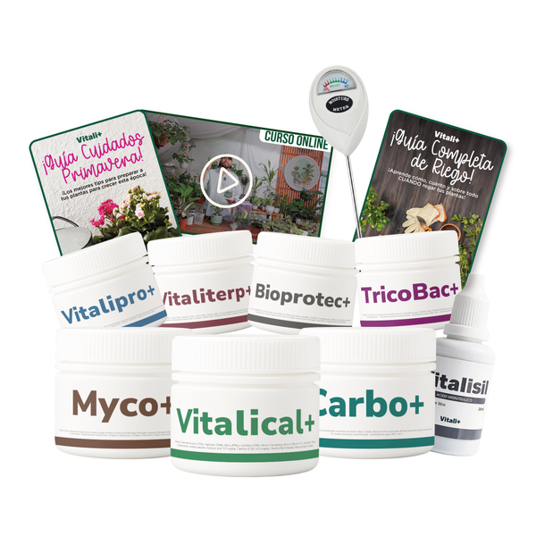 MEGA Pack Vitali+ con medidor, guías y curso