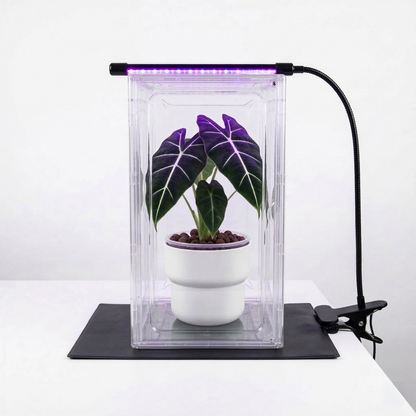 Kit Mini Invernadero