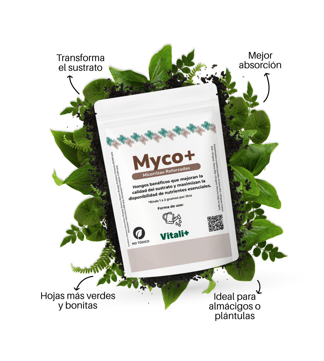 Myco+