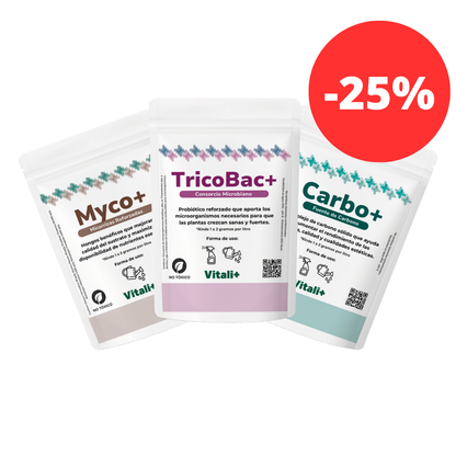 Pack Otoño