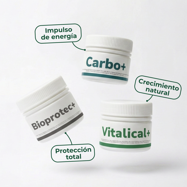 Pack Desarrollo Vitali+