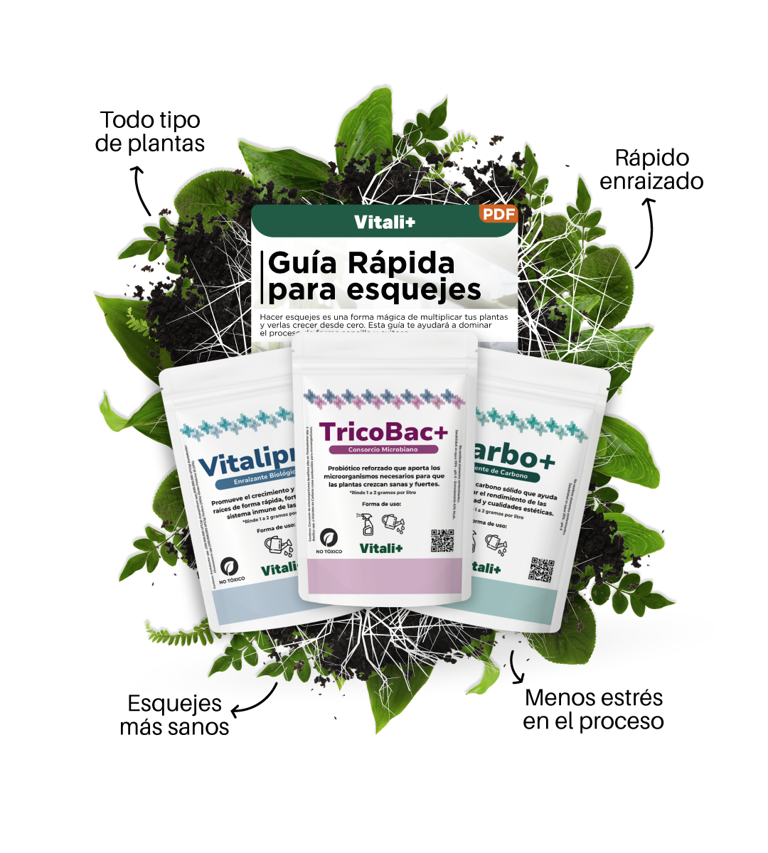 Pack Esquejes
