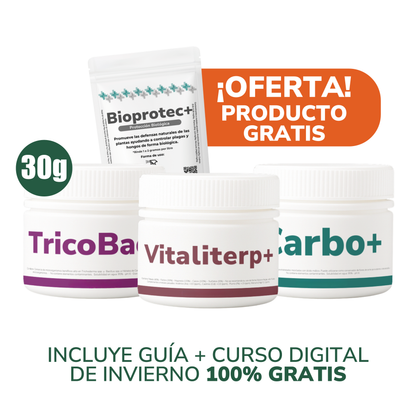 Pack Invierno