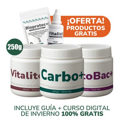 Pack Invierno