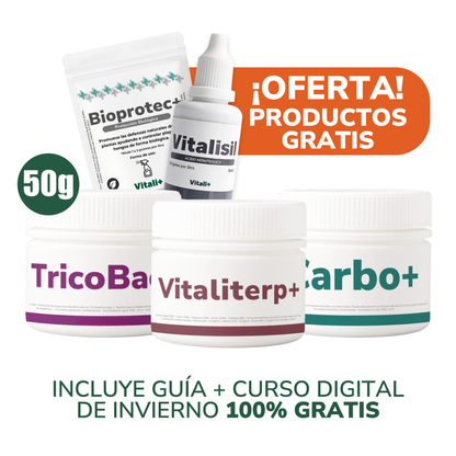 Pack Invierno