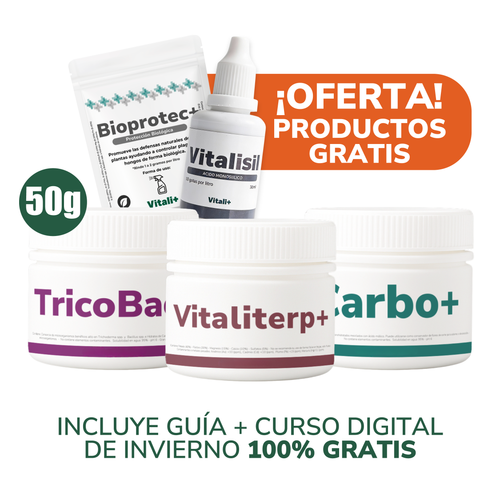 Pack Invierno
