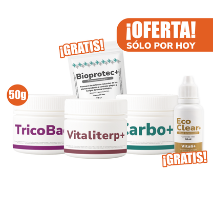 Pack Invierno