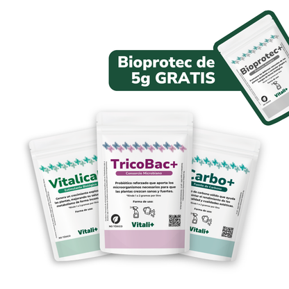 Promo Primaveral (Edición Limitada)