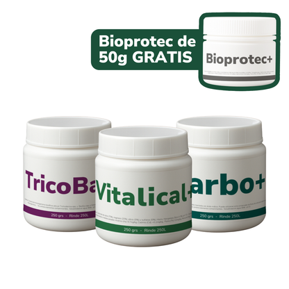 Promo Primaveral (Edición Limitada)