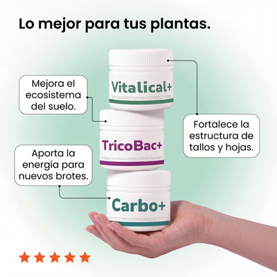 Pack Primavera