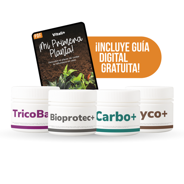 Pack Principiante