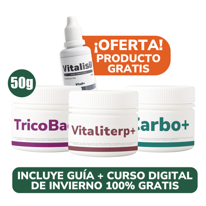 Pack Invierno