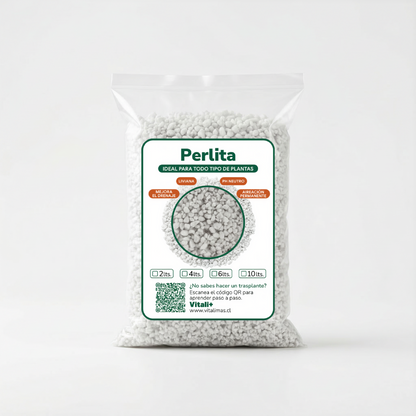 Perlita