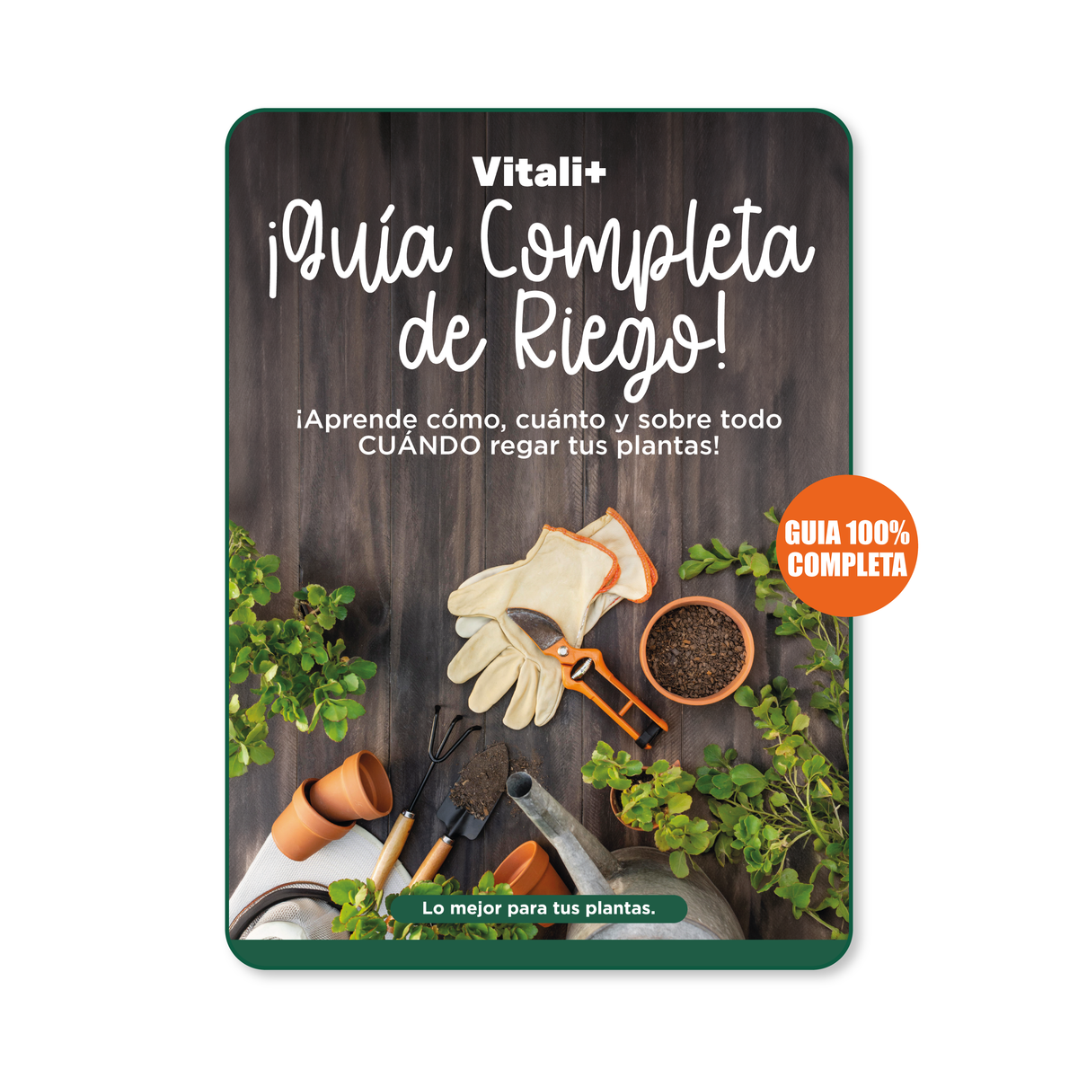 Guía definitiva de riego