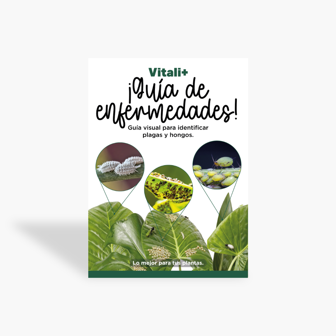 Guía de Enfermedades