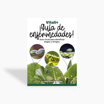 Guía de Enfermedades