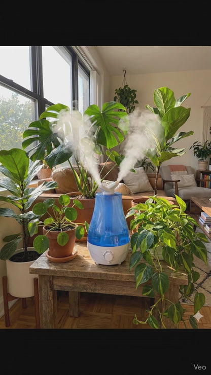 Humidificador