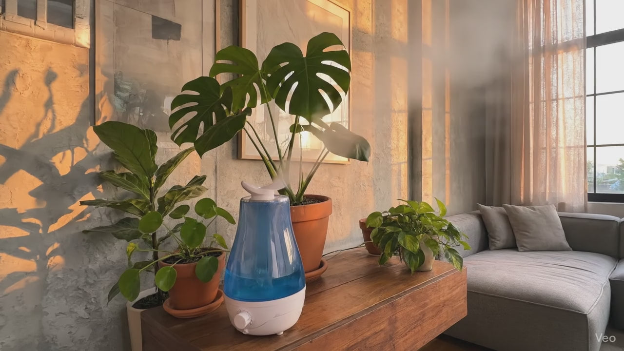 Humidificador