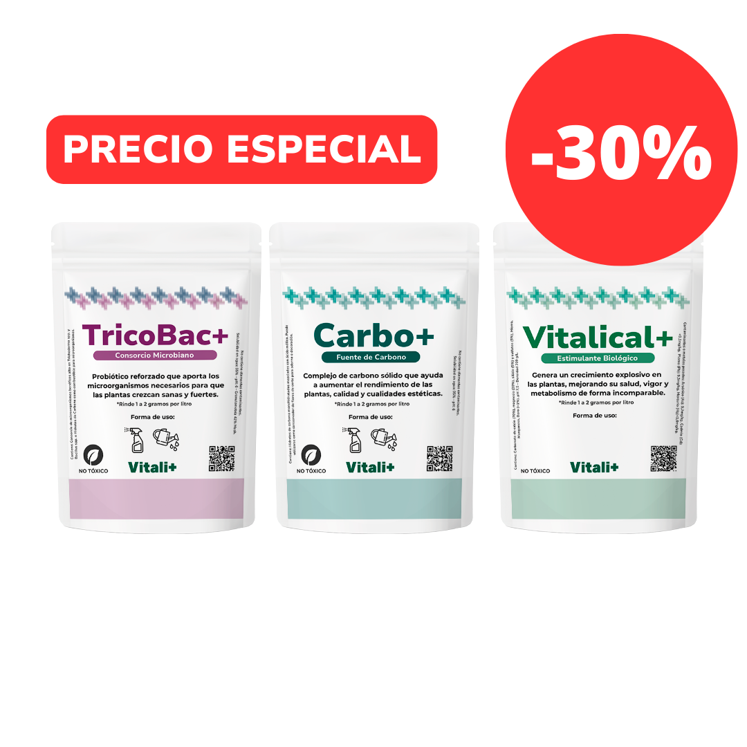 Pack Primavera