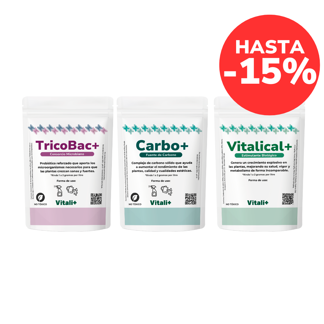 Pack Primavera