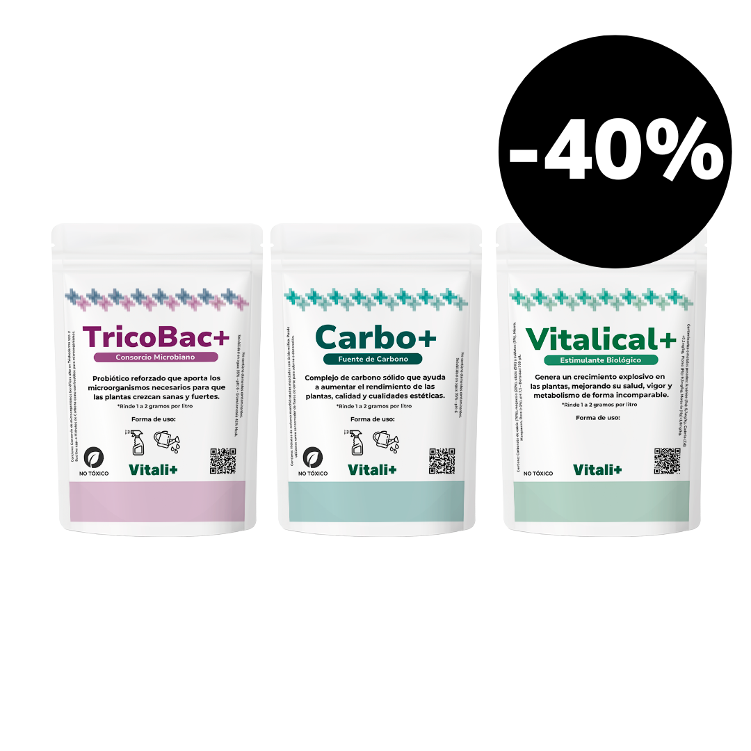 Pack Primavera