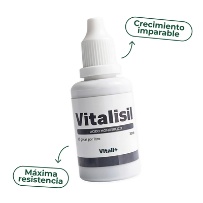 Vitalisil de Vitali+ — Silicio biodisponible para tallos firmes y hojas resistentes