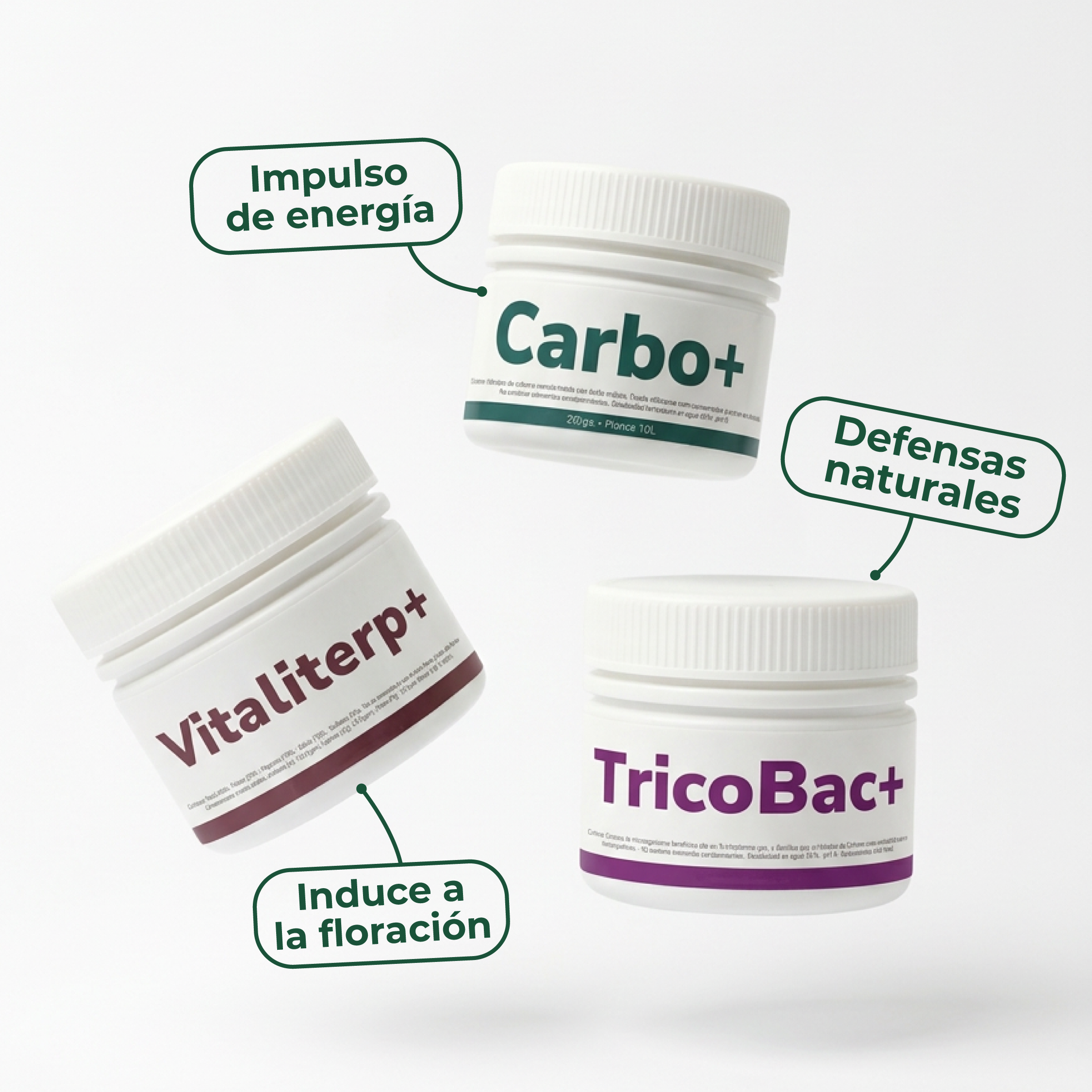 Pack Invierno