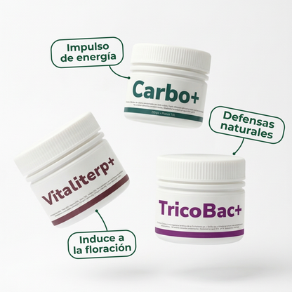Pack Invierno
