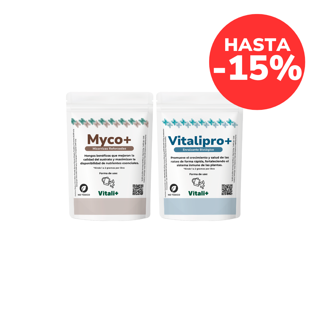 Pack Raíces
