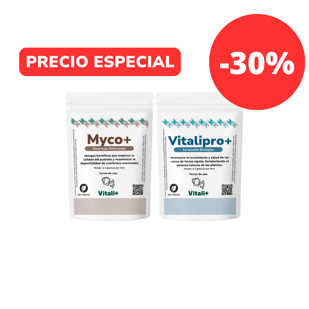 Pack Raíces