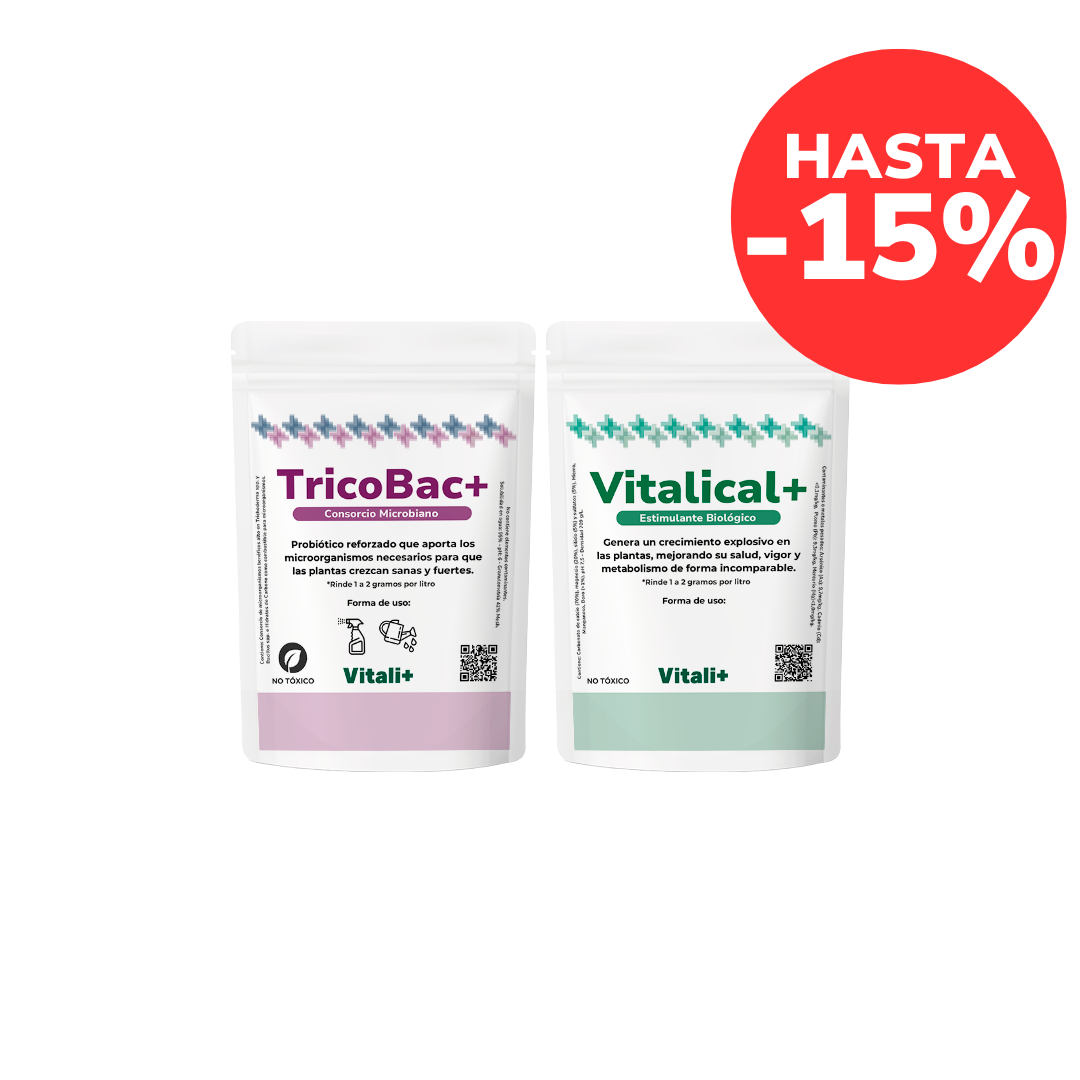 Pack Revitalizante