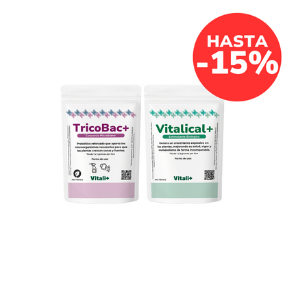 Pack Revitalizante