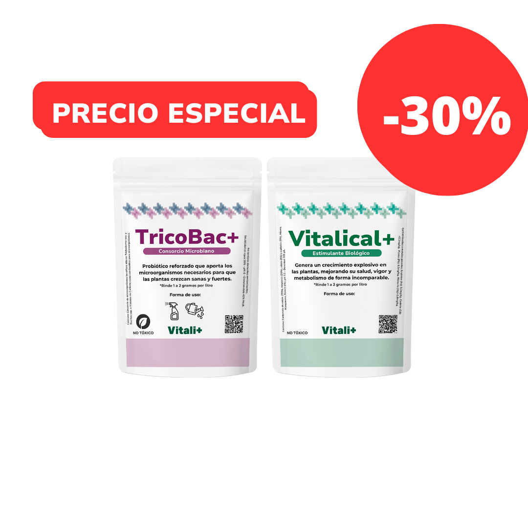 Pack Revitalizante