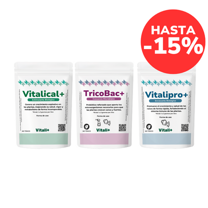 Pack Todoplanta