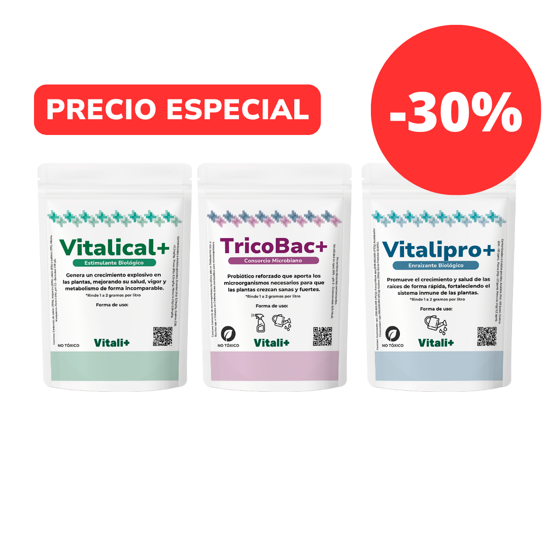 Pack Todoplanta