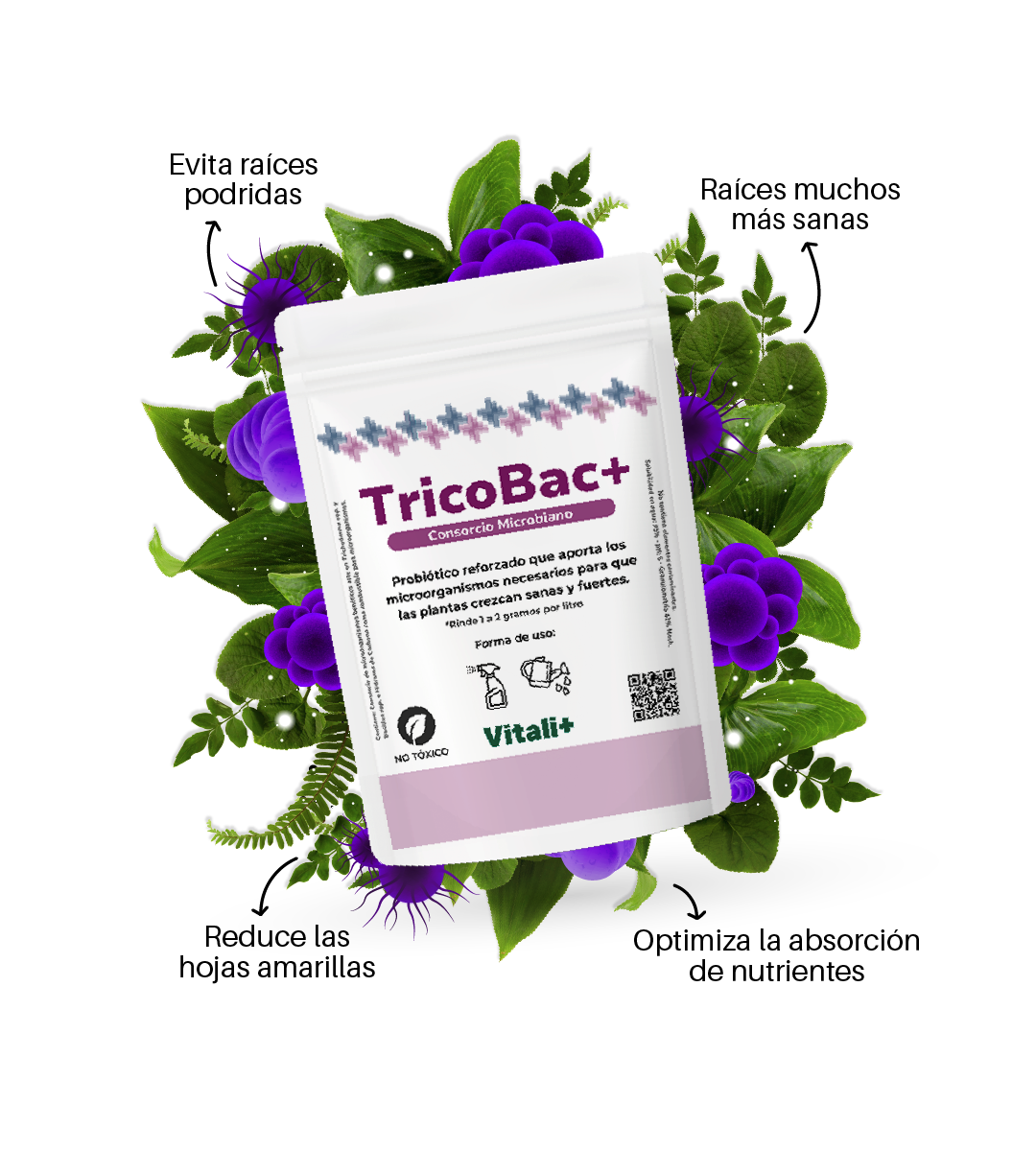 TricoBac+