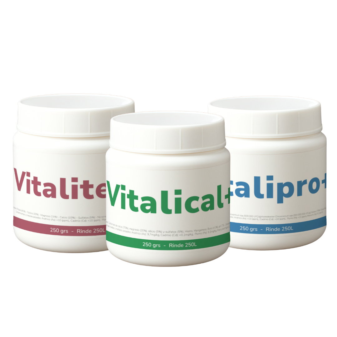Tripack Vitali+