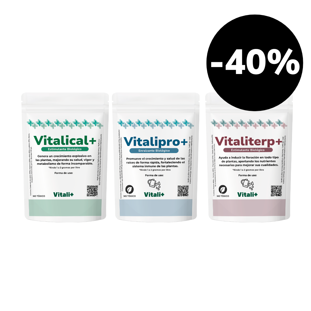 Tripack Vitali+
