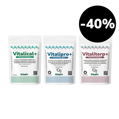 Tripack Vitali+