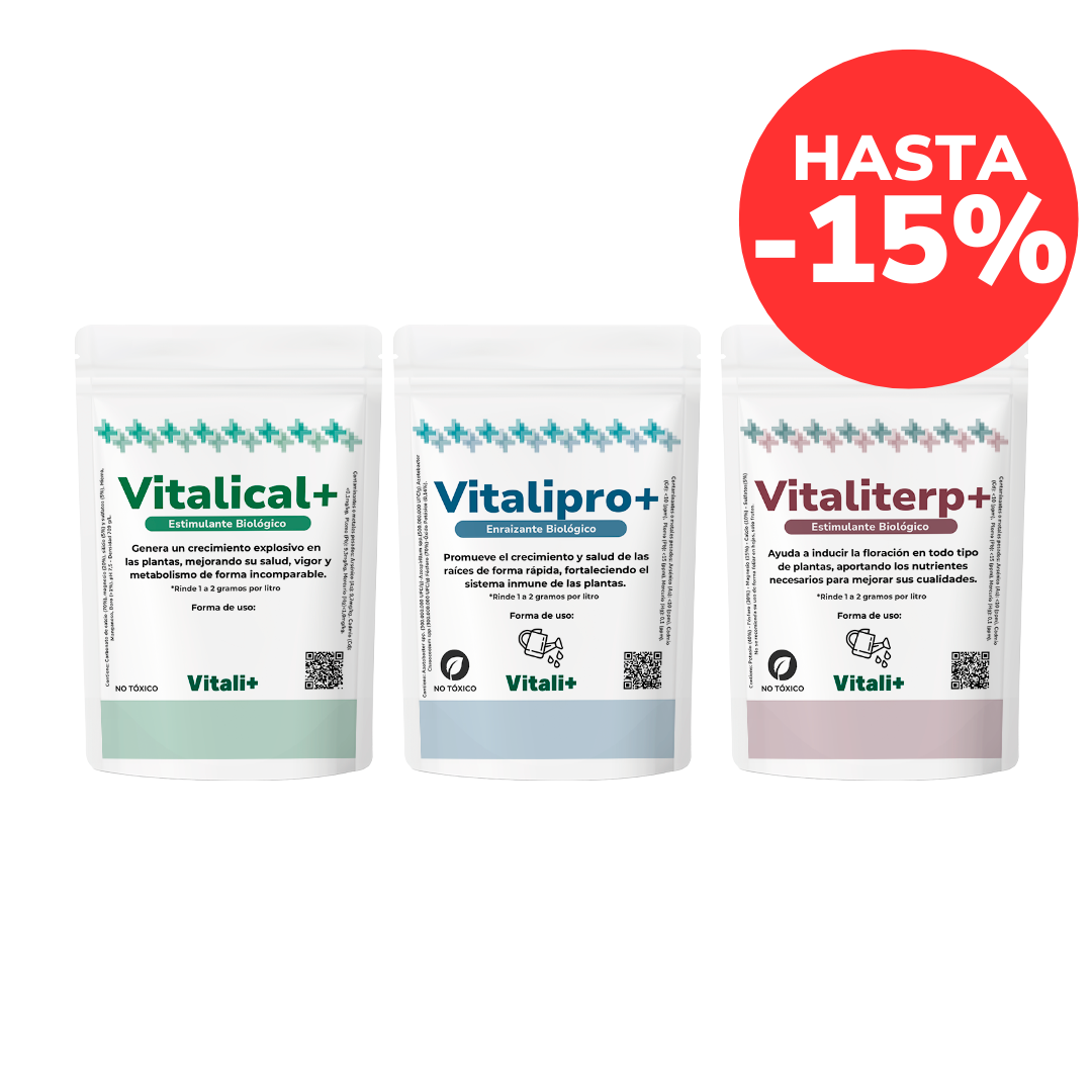 Tripack Vitali+