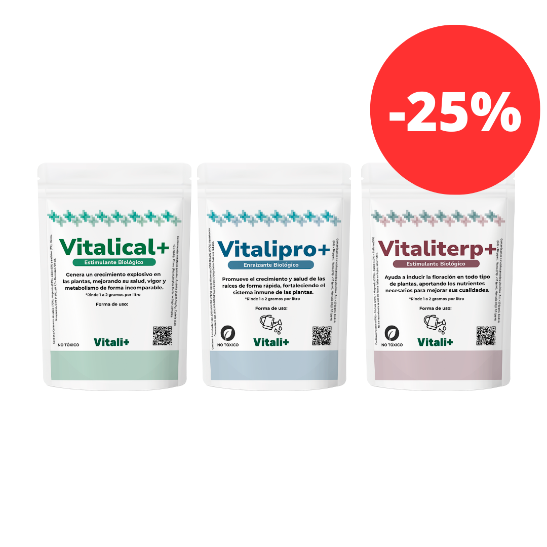 Tripack Vitali+