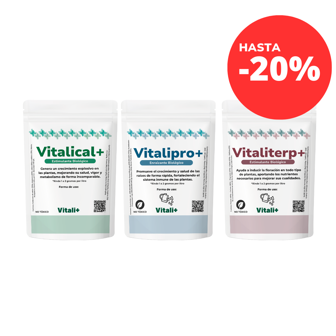 Tripack Vitali+