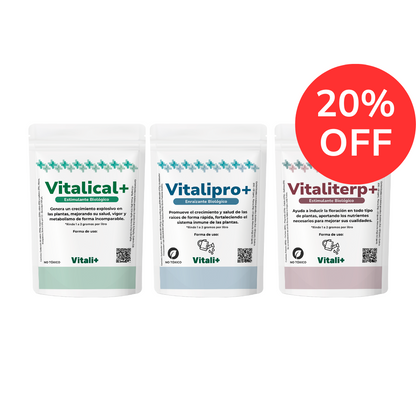 Tripack Vitali+