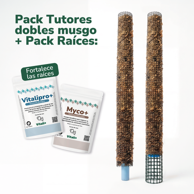 Pack tutores PRO