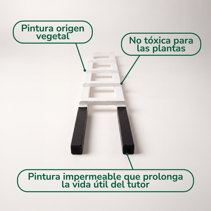 Tutor de escalera