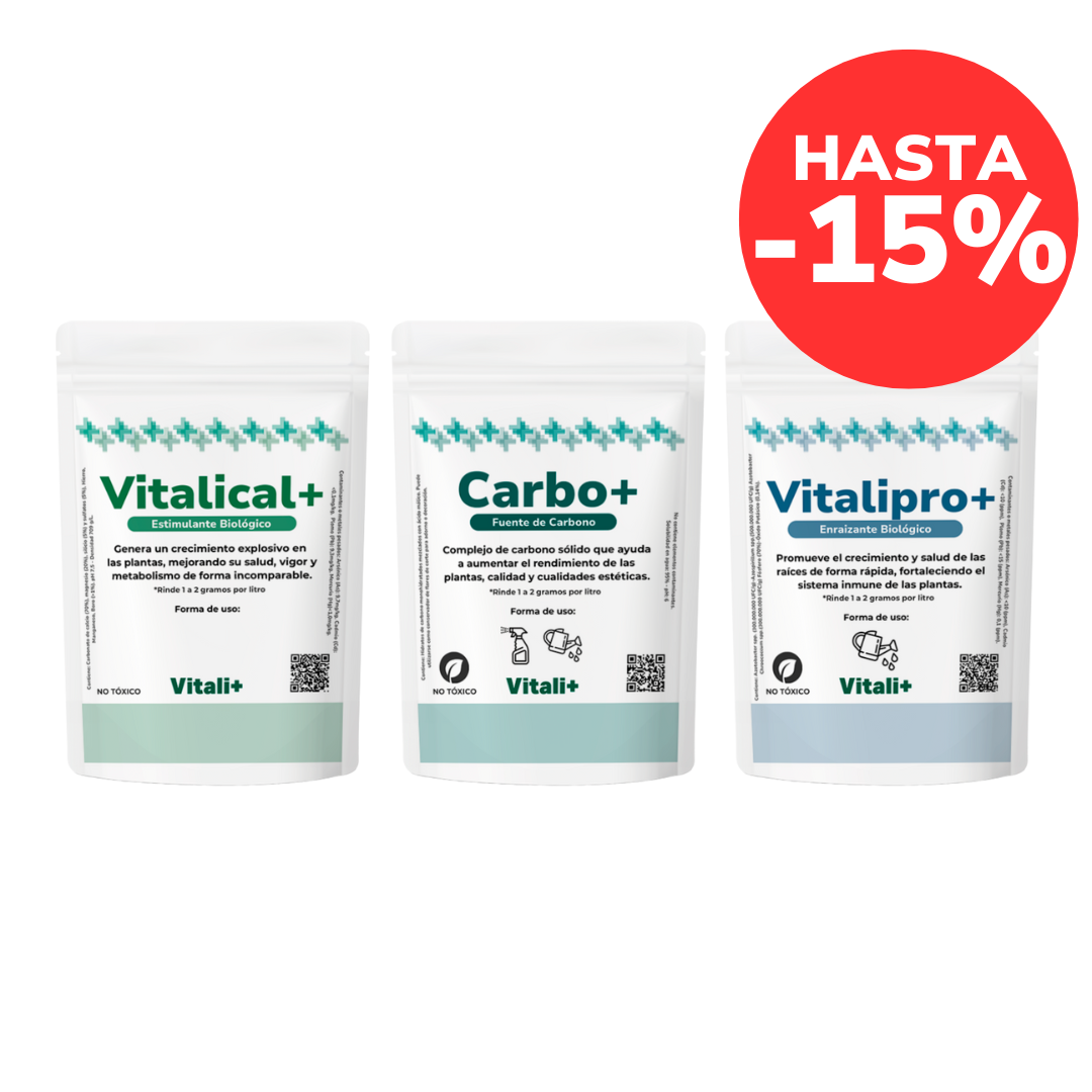 Pack Verano